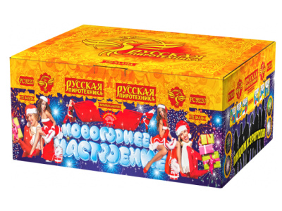 Новогоднее настроение 172 в Москве | ropiko.ru